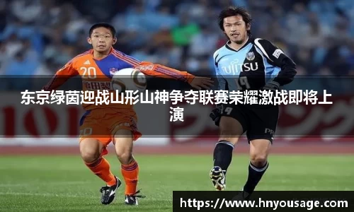 ballbet贝博艾佛森官方网站